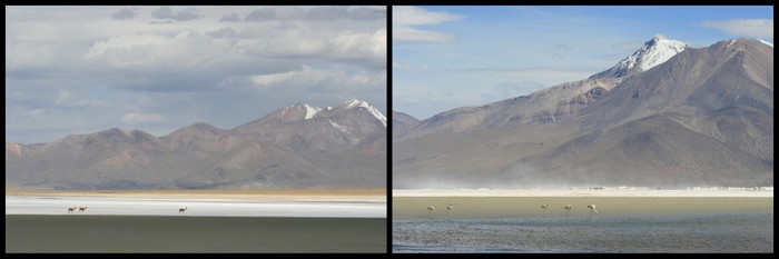 Chili Salar Surire flamants vicuñas Ekla